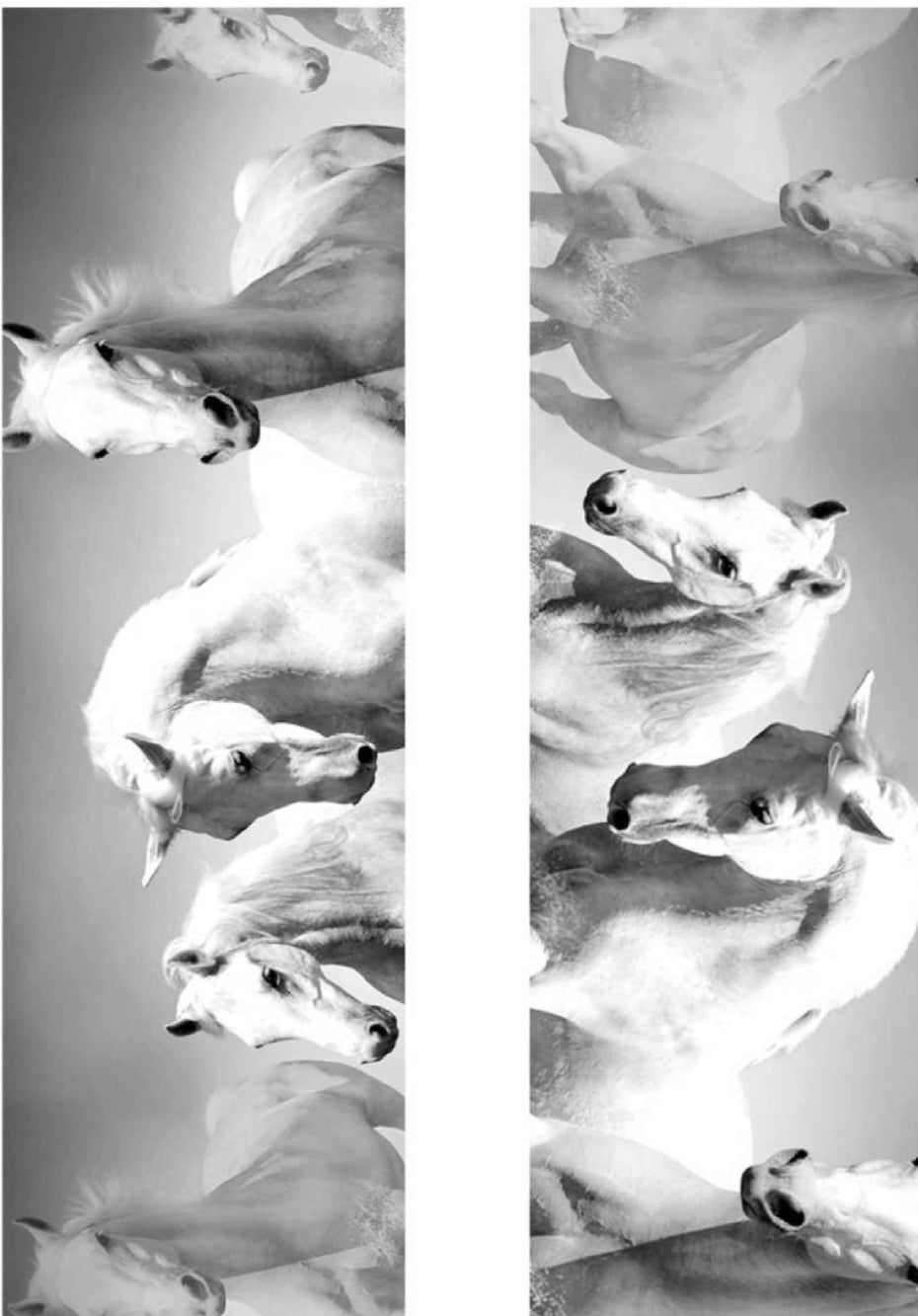 Beautiful Running Wild Horses Linen Softie