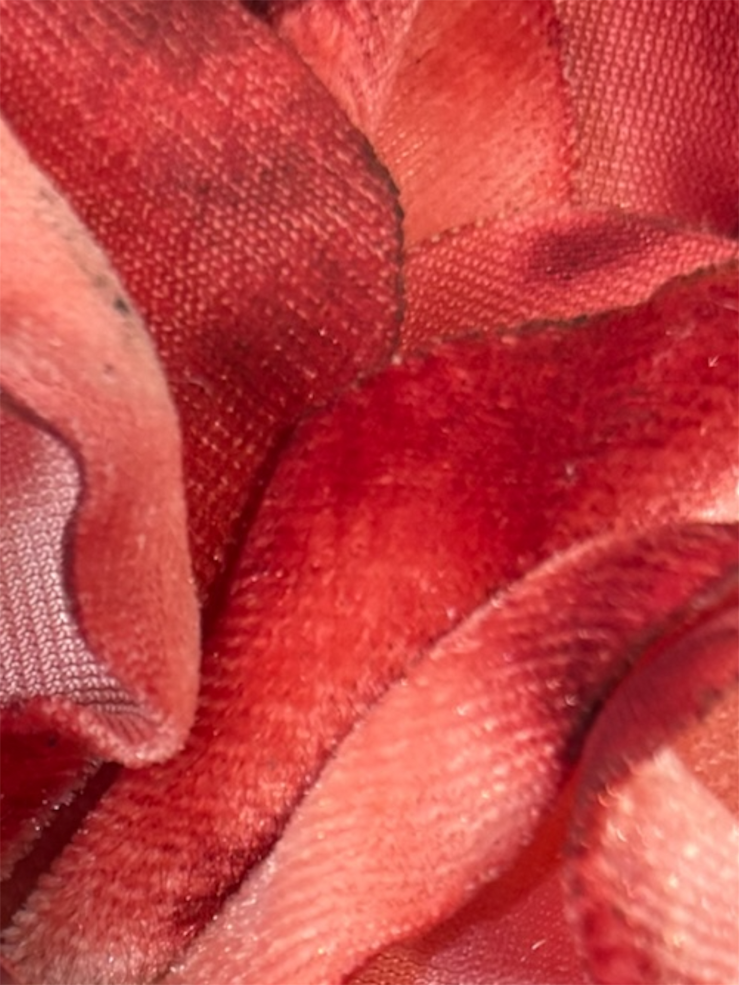 Hand Dyed Velvet Slide